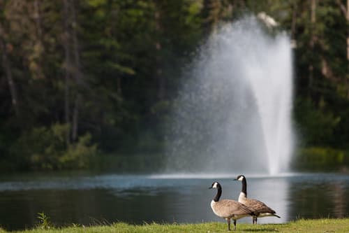 Bowness Park - Outdoor in West Calgary